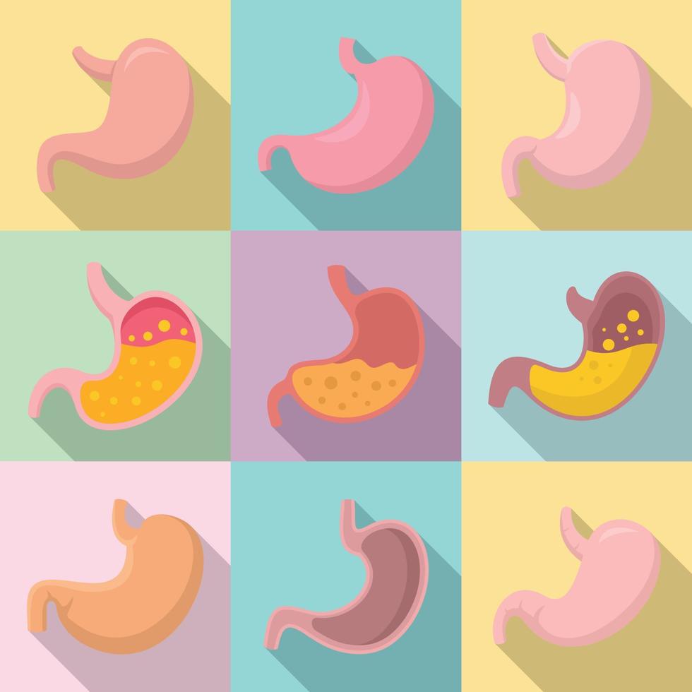 Stomach icons set, flat style vector