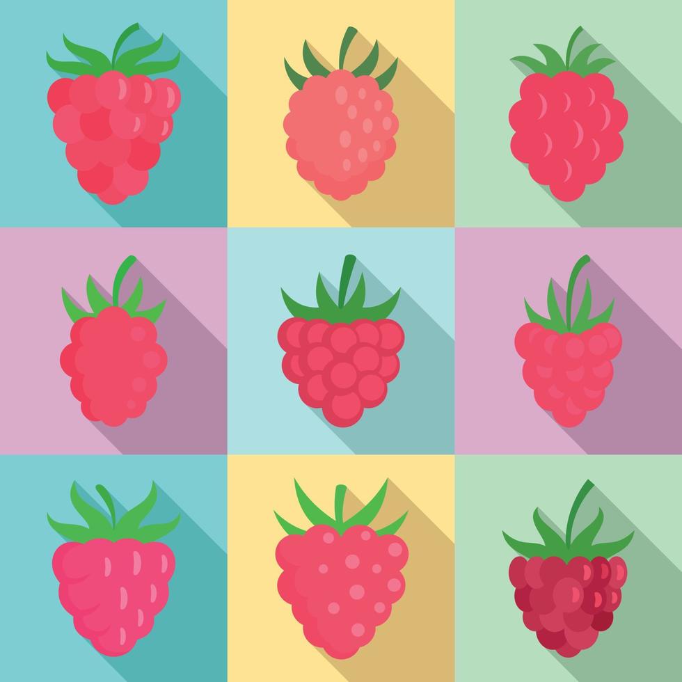 Raspberry icons set, flat style vector
