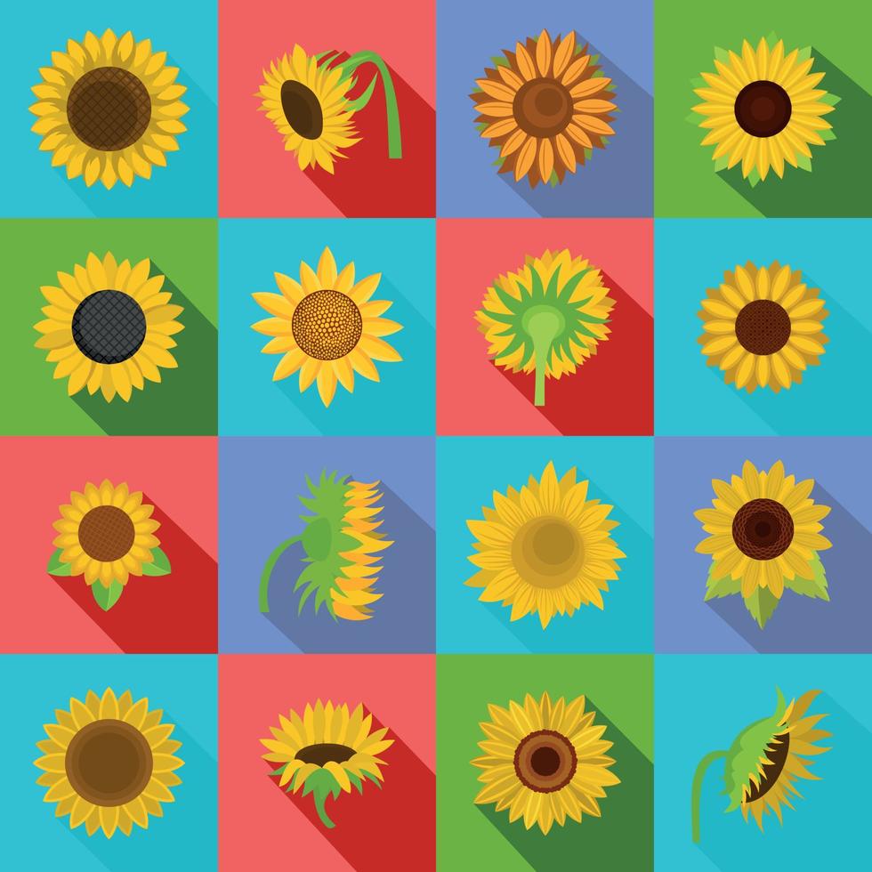 Sunflower blossom icons set, flat style vector