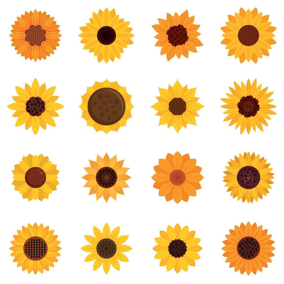 Sunflower icons set, flat style vector