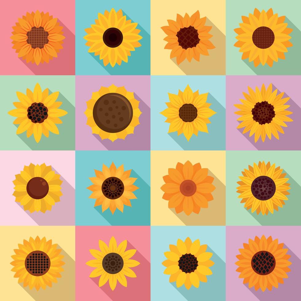 Sunflower icons set, flat style vector