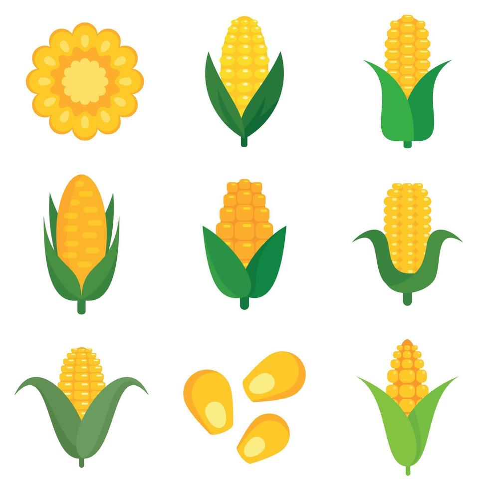 conjunto de iconos de maíz, estilo plano vector
