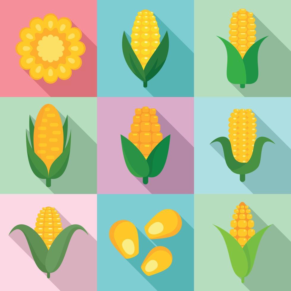 Corn icons set, flat style vector
