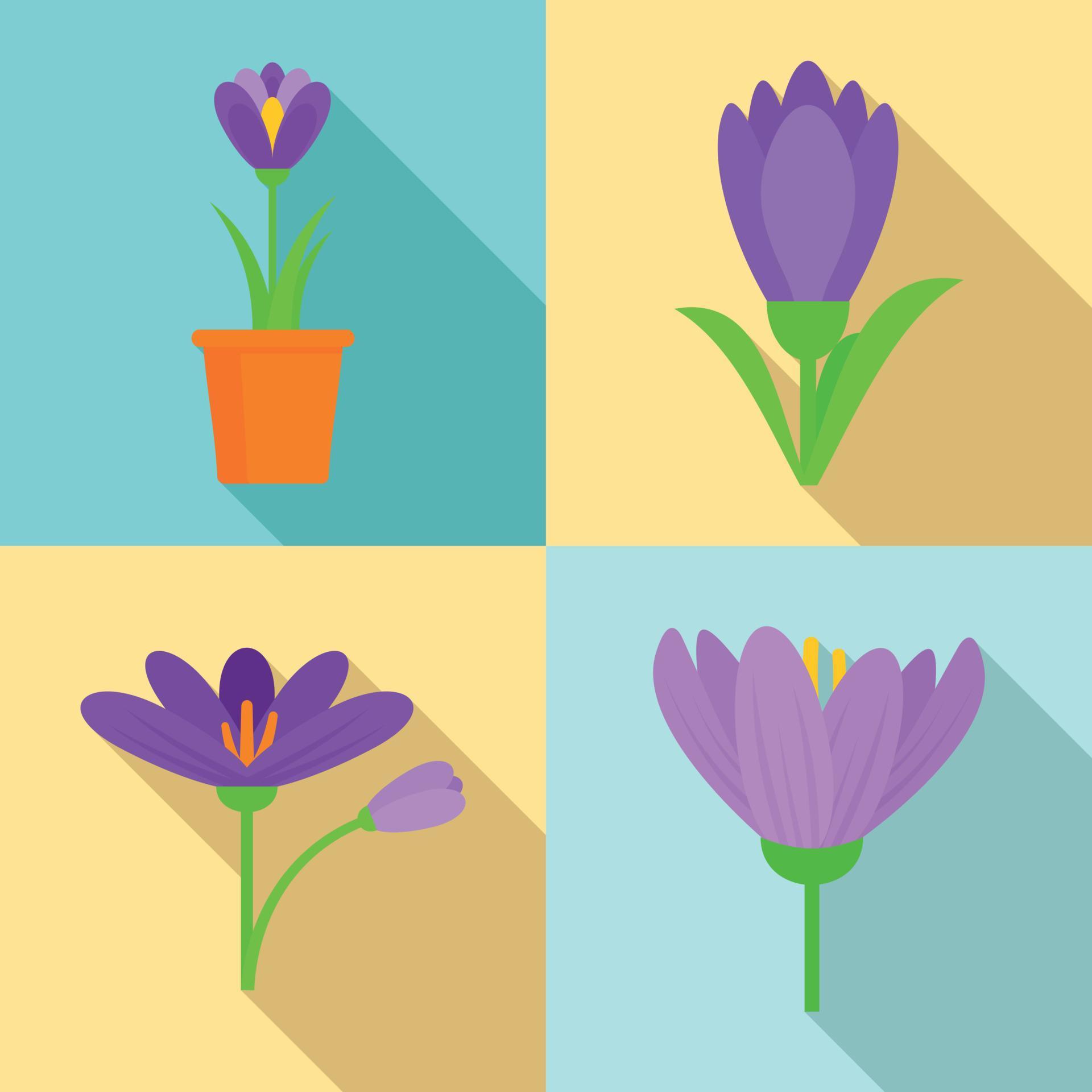 Crocus icons set, flat style 8883995 Vector Art at Vecteezy