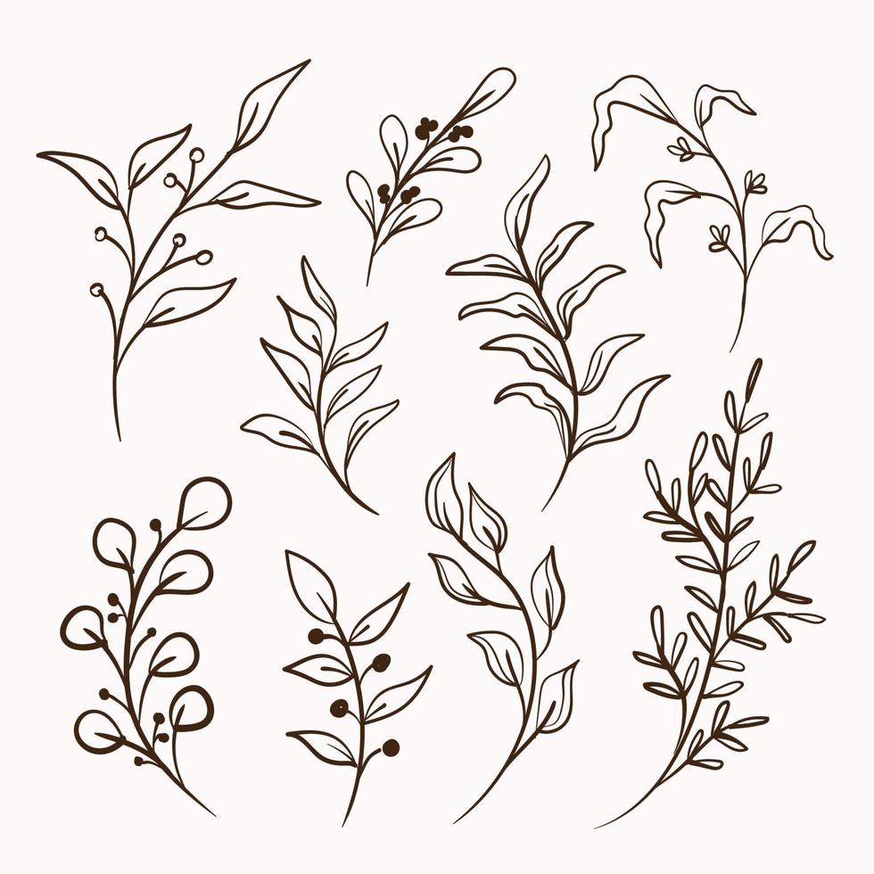 leaves foliage line art collection vector