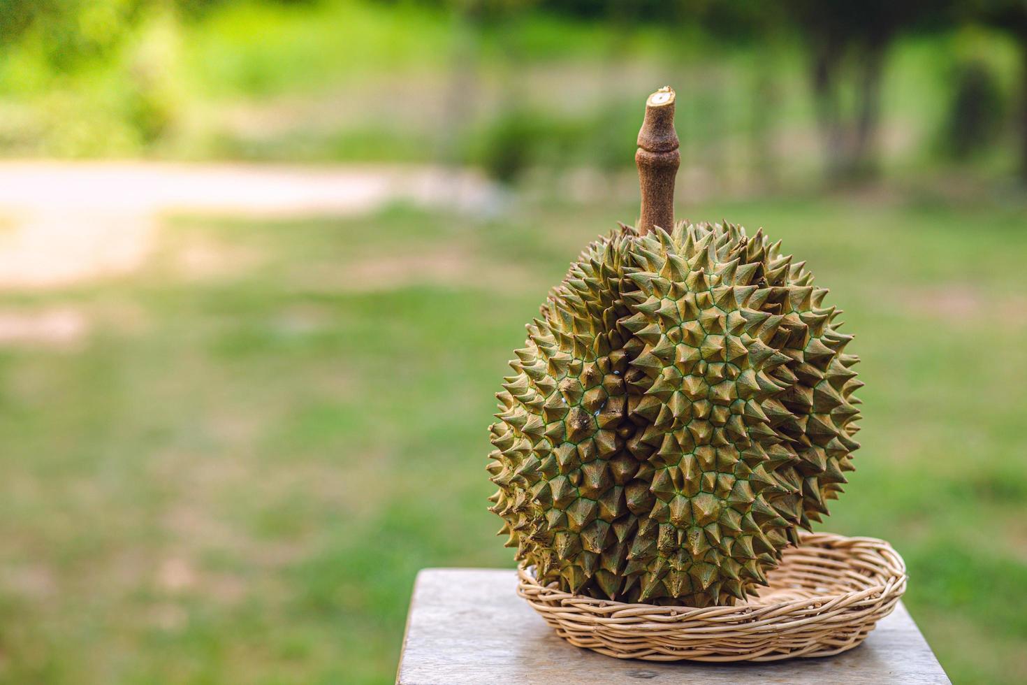 durian madurado y fresco, cáscara de durian con color amarillo sobre mesa de madera. foto