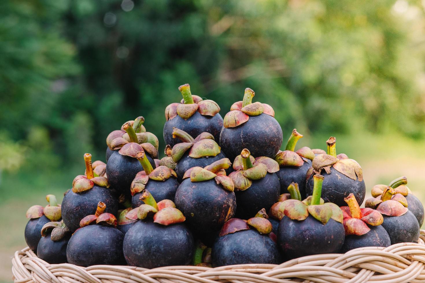 Mangosteen is a fruit from Asia that has been very popular. Mangosteen has been known as The Queen of Fruits photo