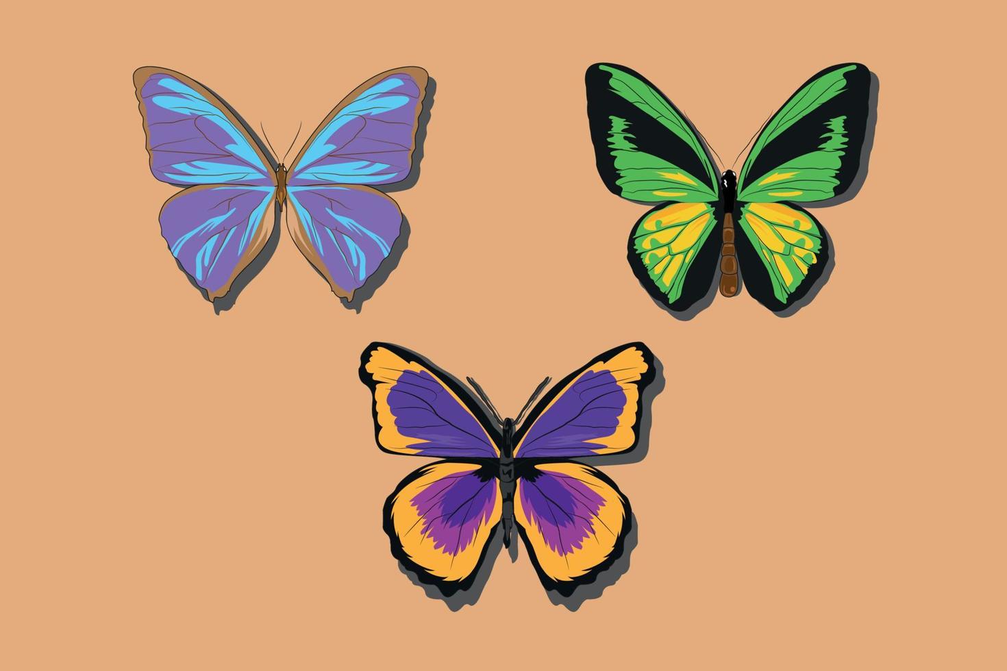 Butterflies Set Vector Illustration