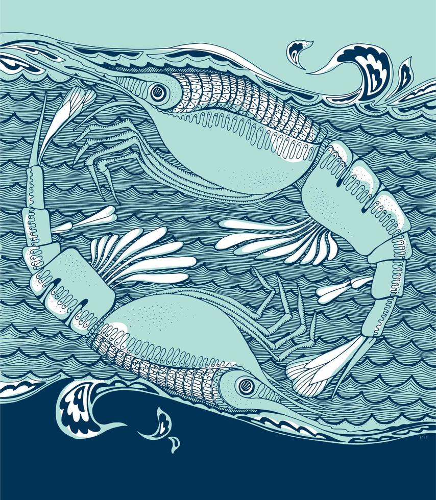shrimp or prawn animal in decorative style. hand drawn vector illustration.