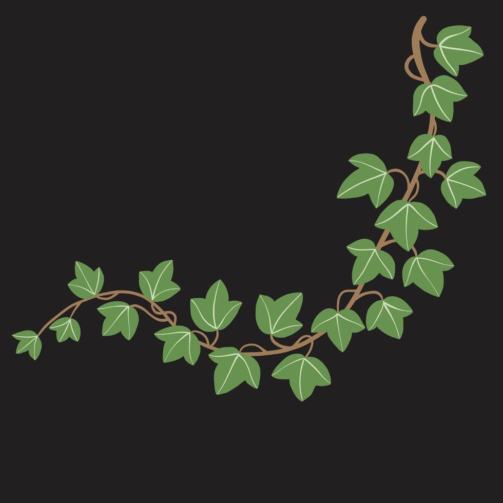 Simplicity ivy freehand drawing flat design. vector