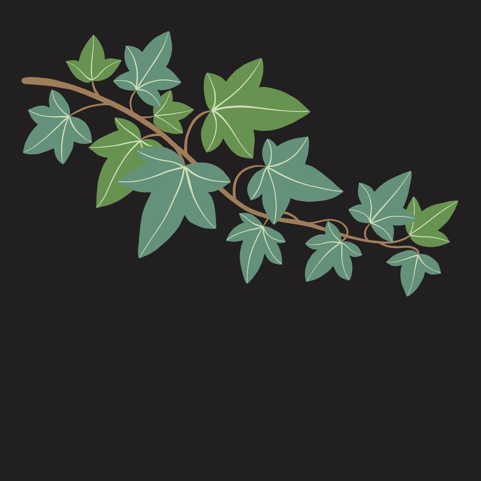 Simplicity ivy freehand drawing flat design. vector