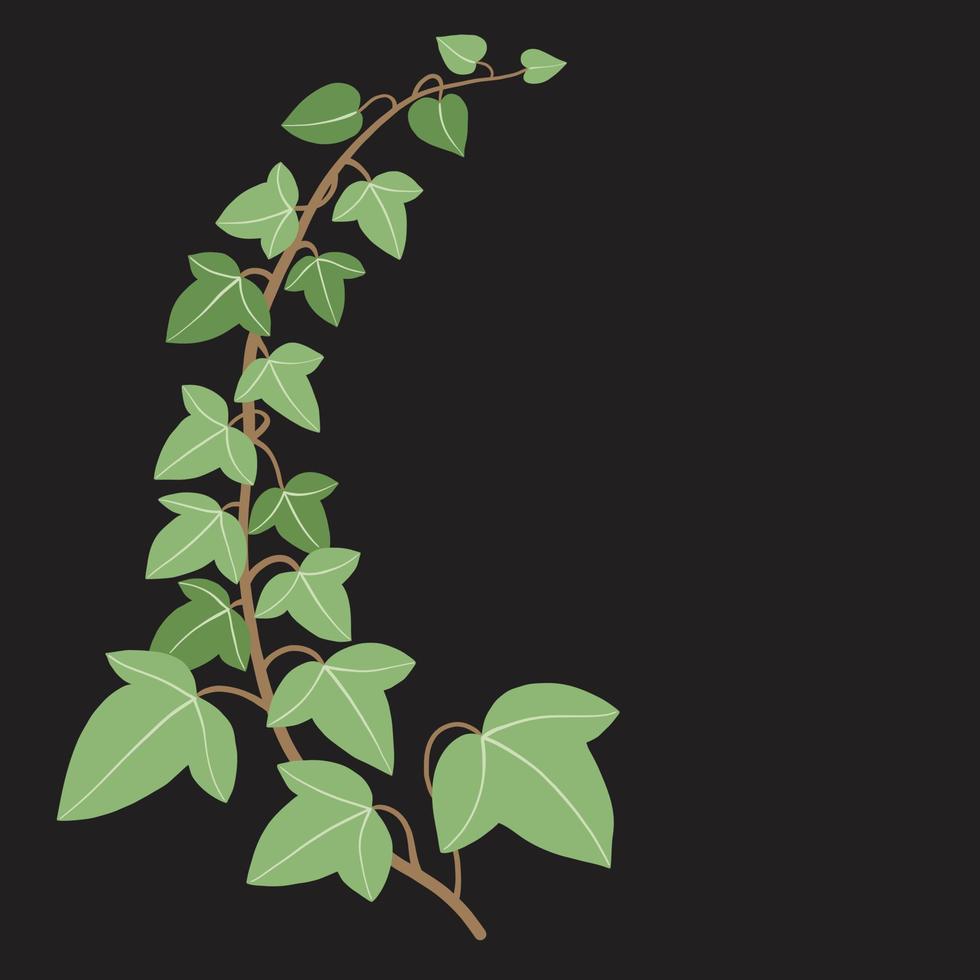 Simplicity ivy freehand drawing flat design. vector