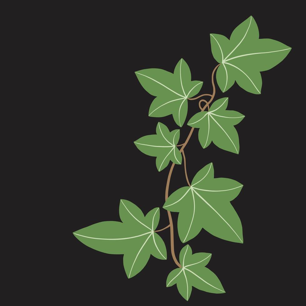 Simplicity ivy freehand drawing flat design. vector