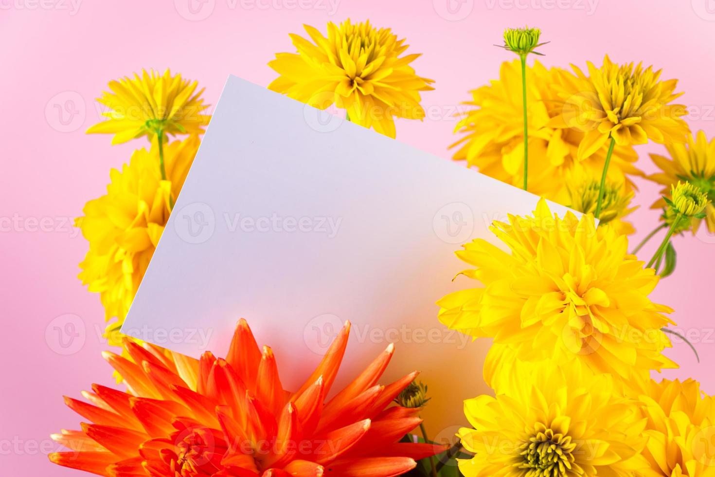 Holiday invitation. Blank greeting card in bouquet of yellow summer flowers on pink background. photo