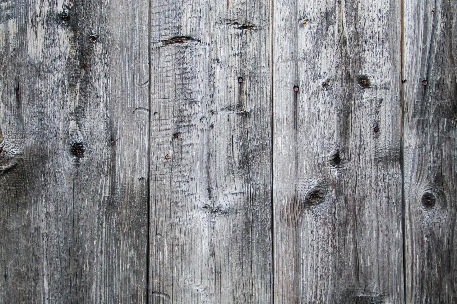 Wooden texture background. Old brown boards close up. Wood backdrop. photo