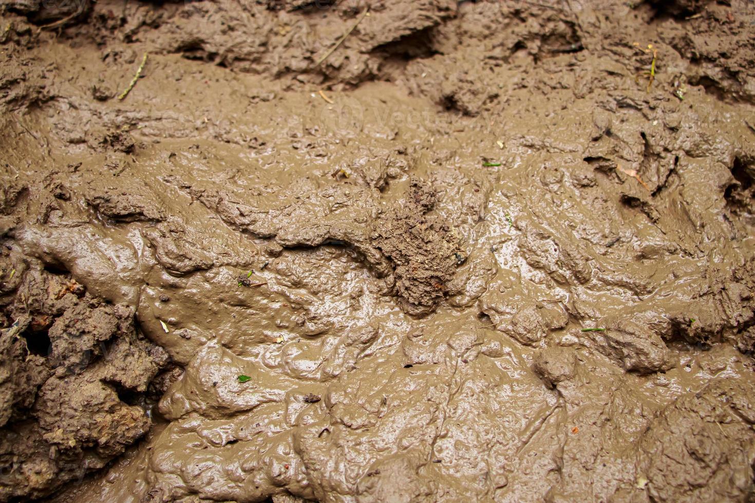Dirt close-up. Off-road liquid mud. Texture dirt background. photo
