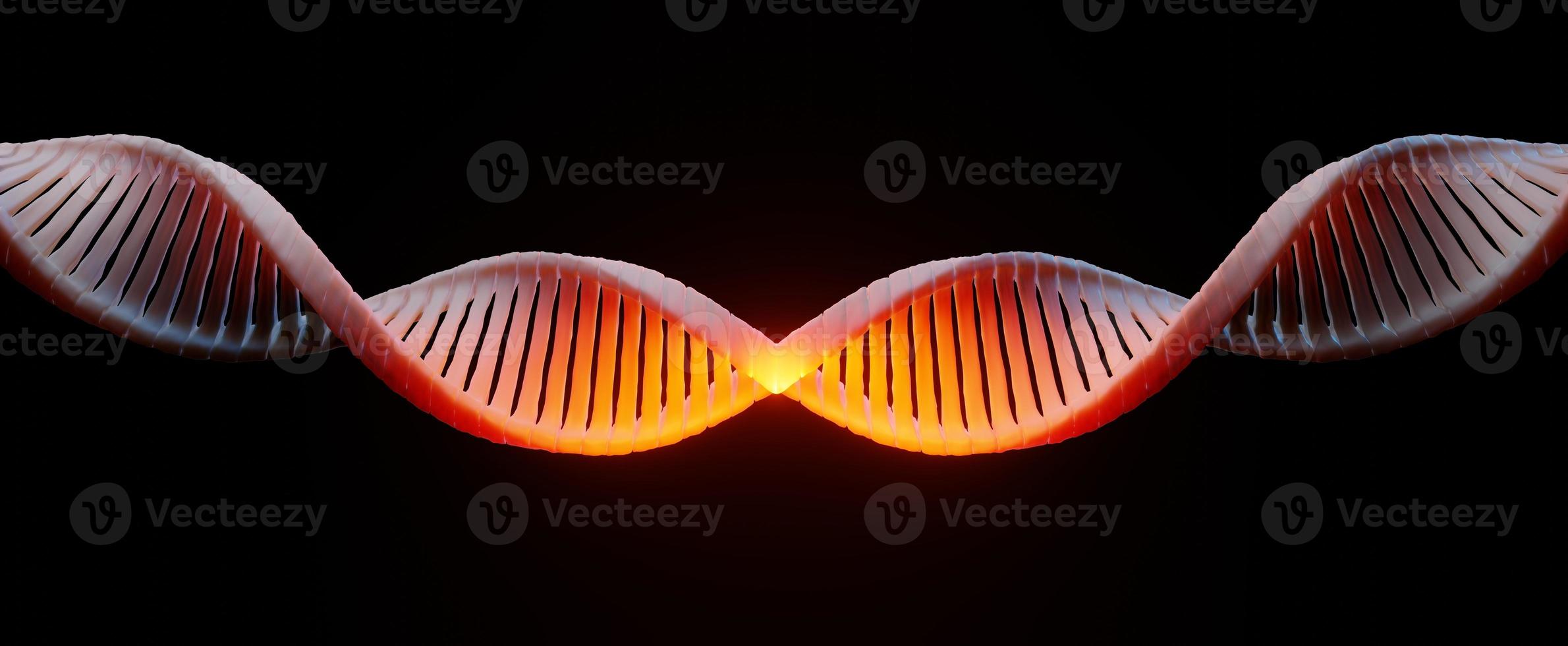 3d render Helix complementary strand of DNA of RNA. Sequences genetic code or genome. Gene expression. nucleotide database. The Central Dogma process of transcription and translation. Human gene. photo