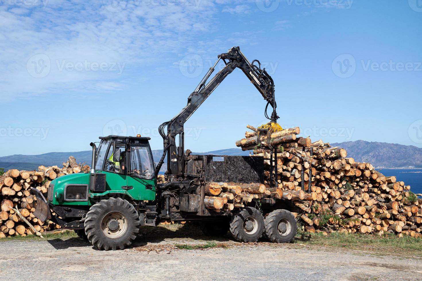Forest log truck tree harvester unloading tree logs. Forest industry photo
