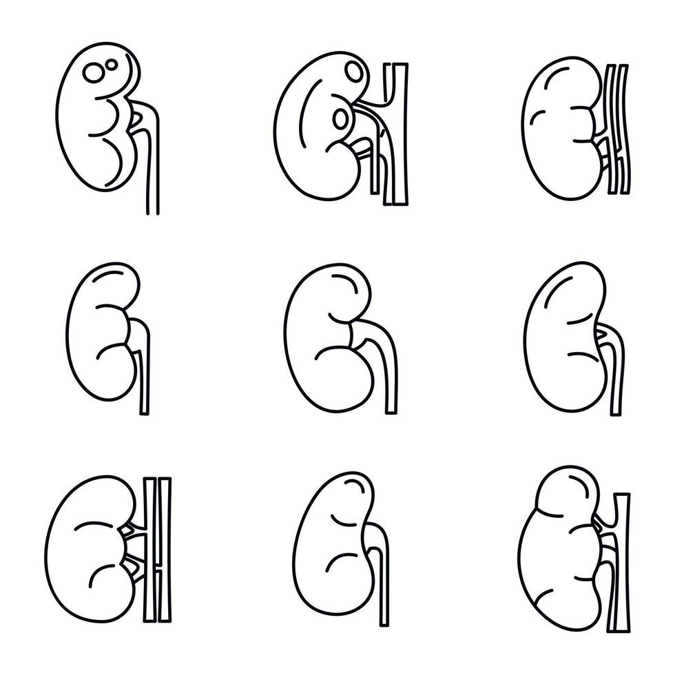 Kidney organ icons set, outline style vector