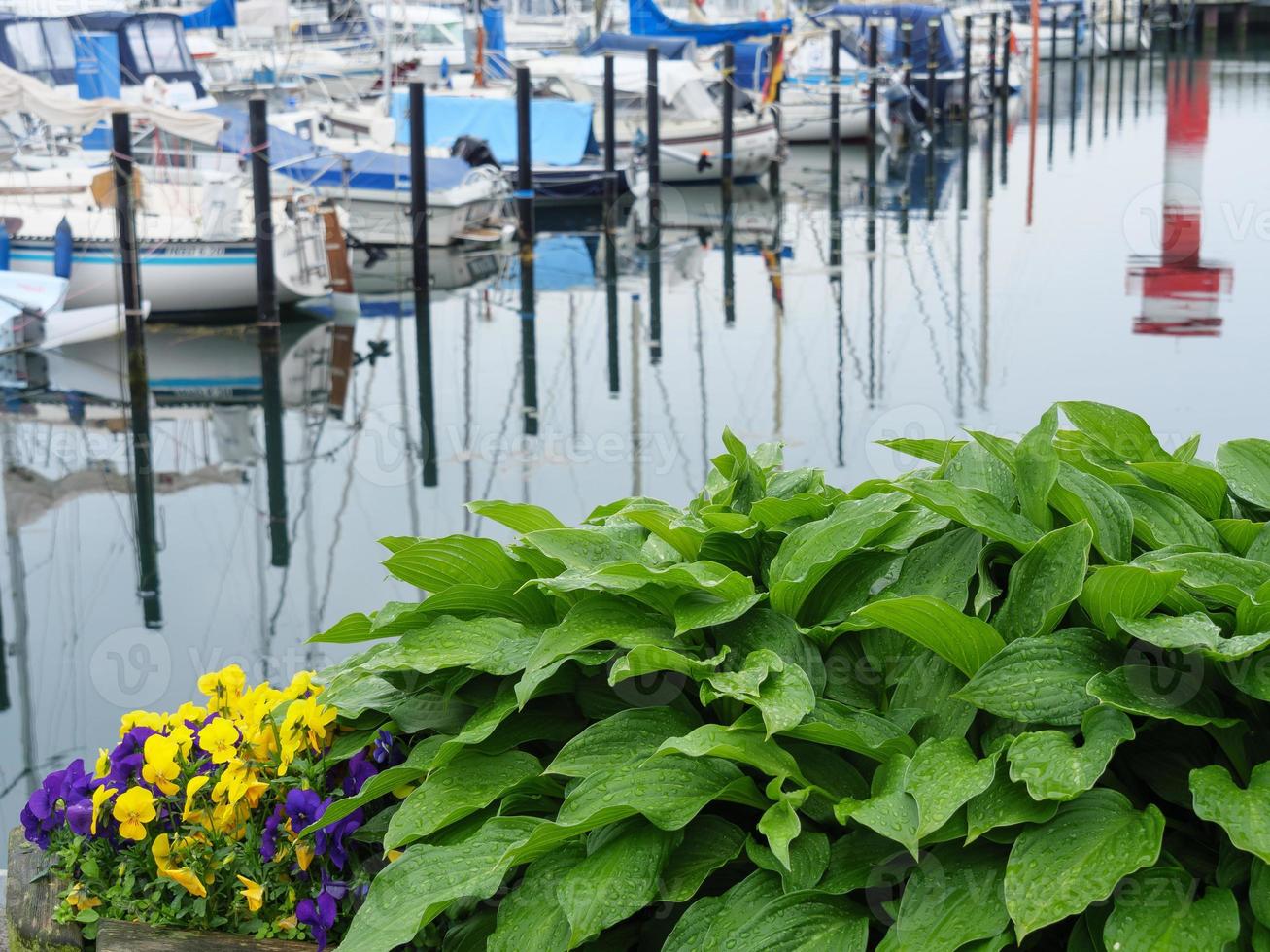the city of Eckernfoerde at the baltic sea photo