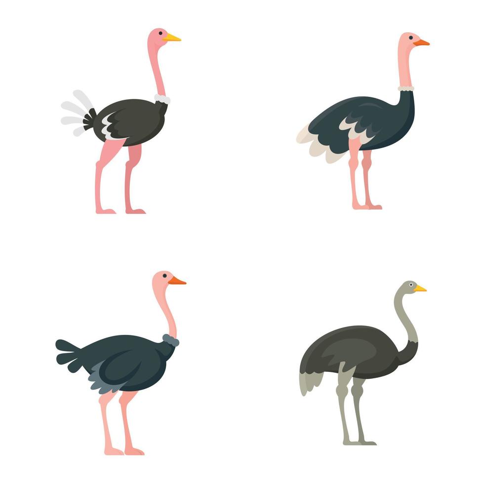 Ostrich icons set, flat style vector