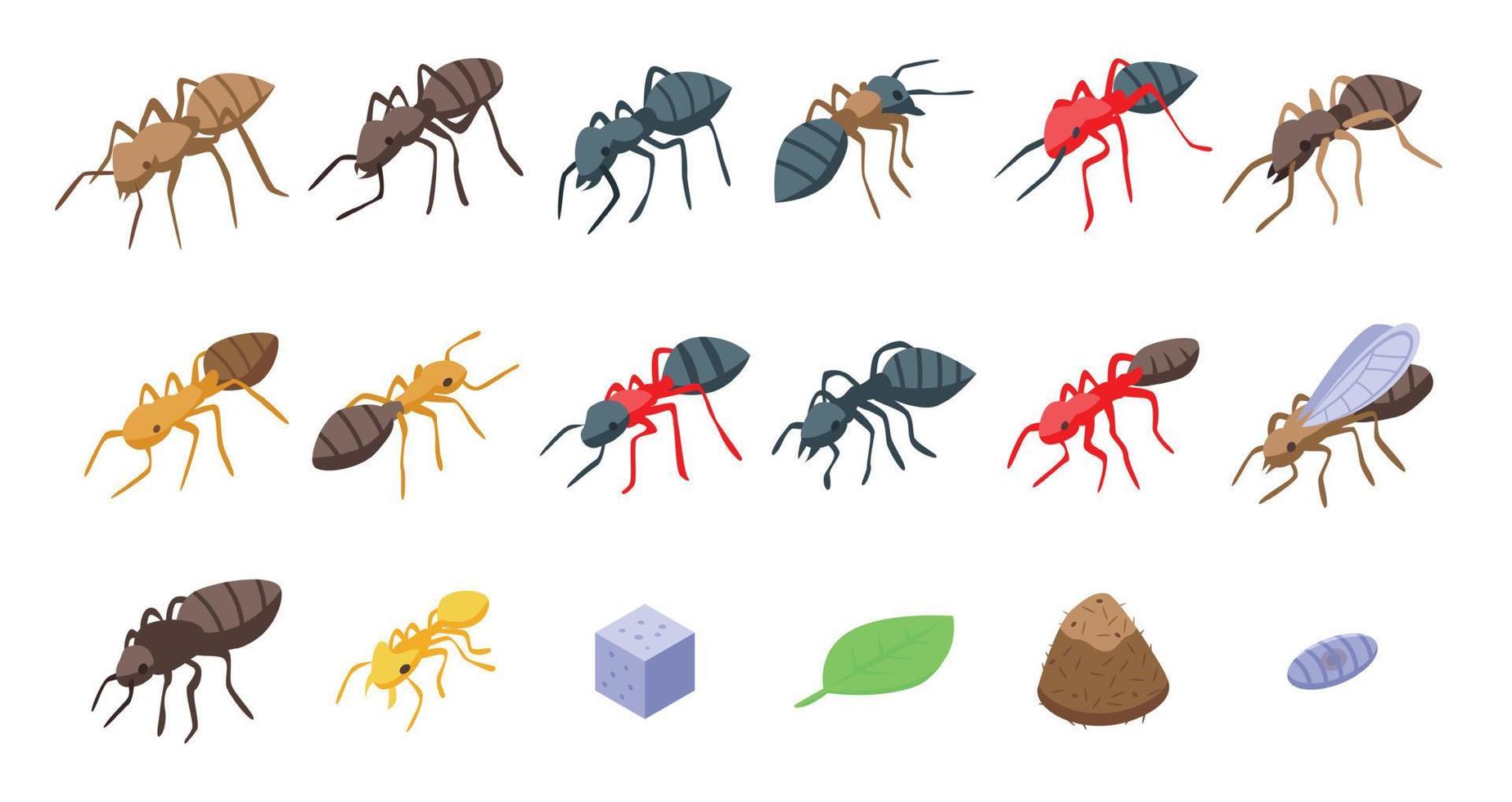 Ant icons set, isometric style vector