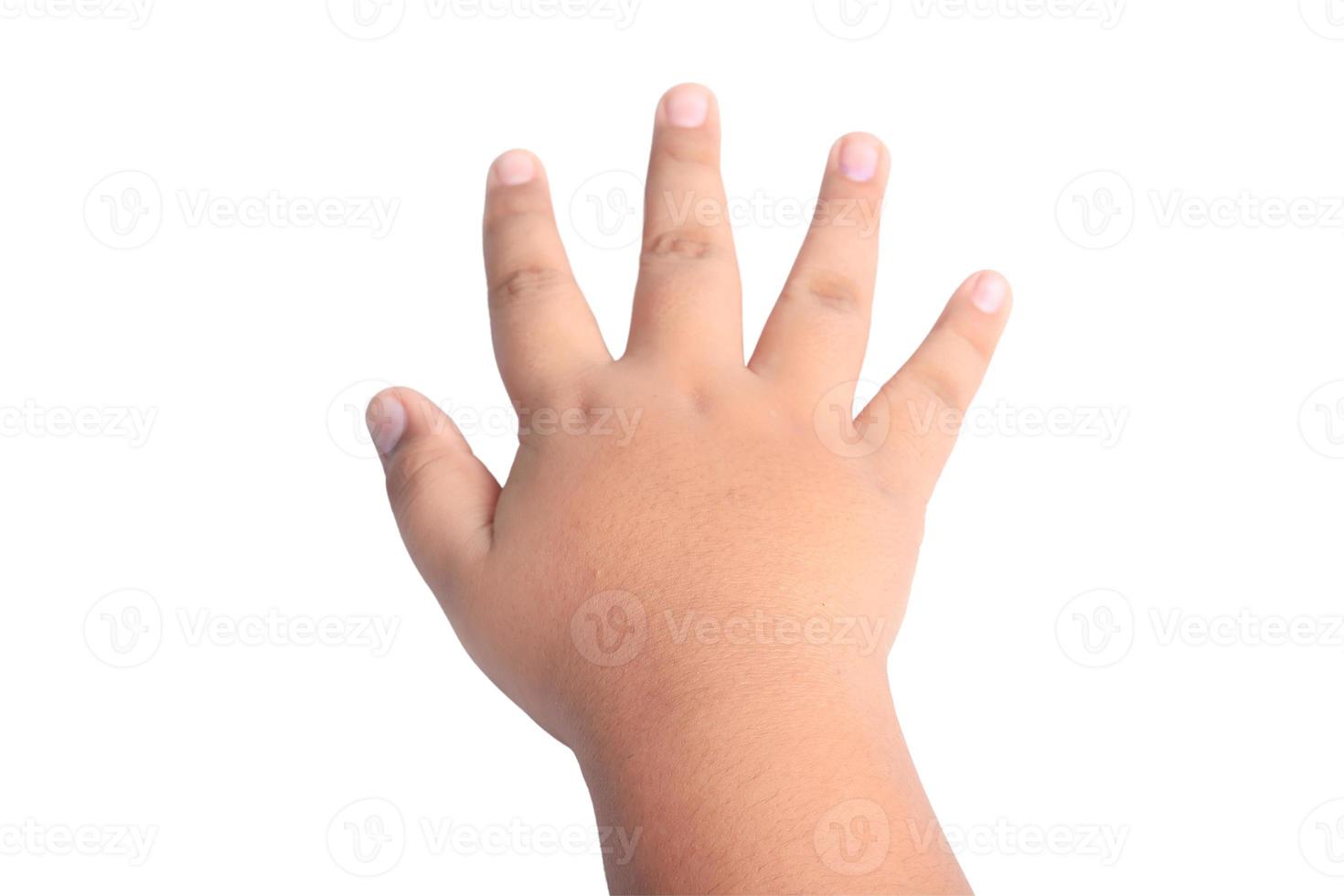 child's hand on a white background photo