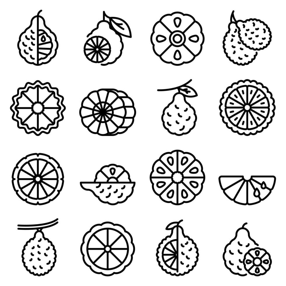 Bergamot icons set, outline style vector
