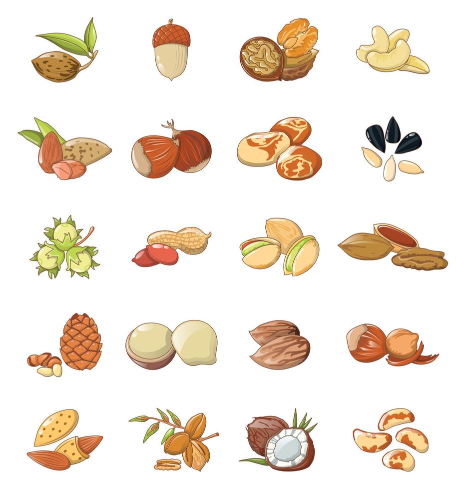 Nut types food icons set, cartoon style vector