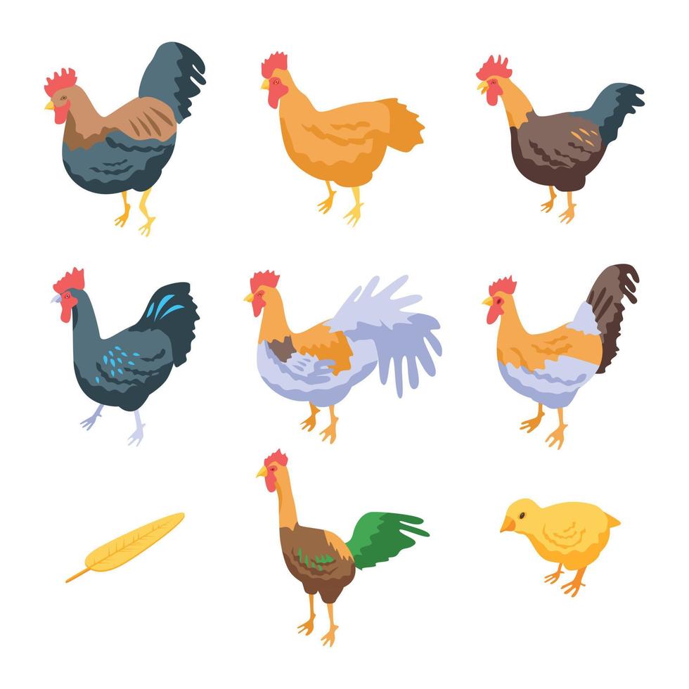 Rooster icons set, isometric style vector