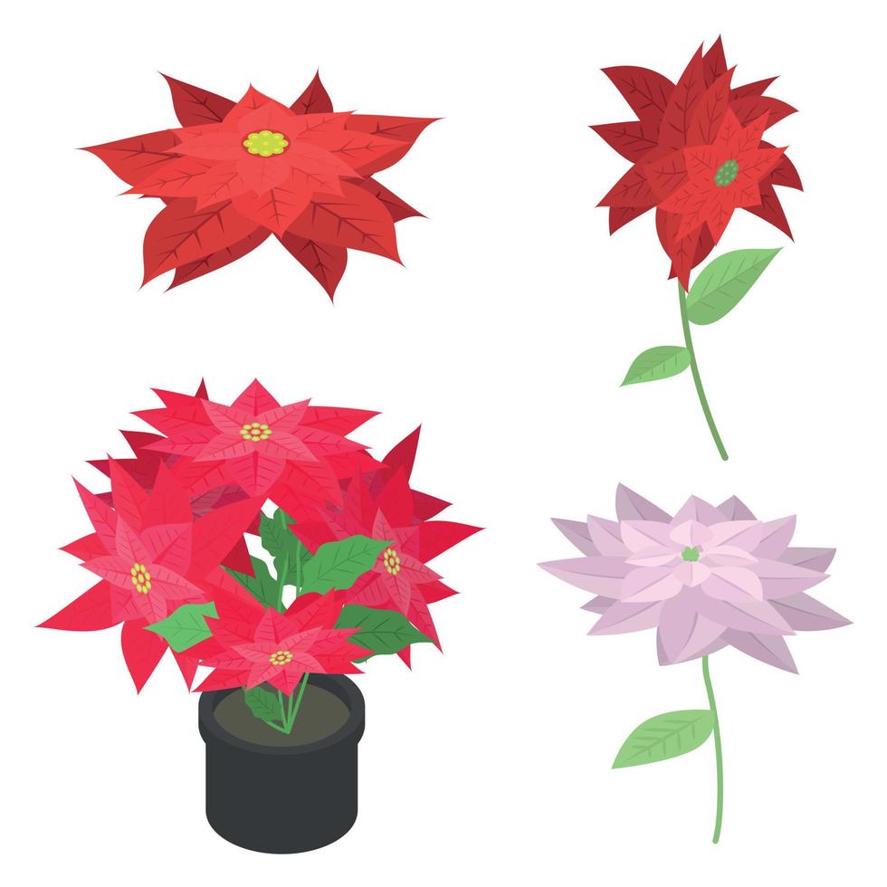 Poinsettia icons set, isometric style vector