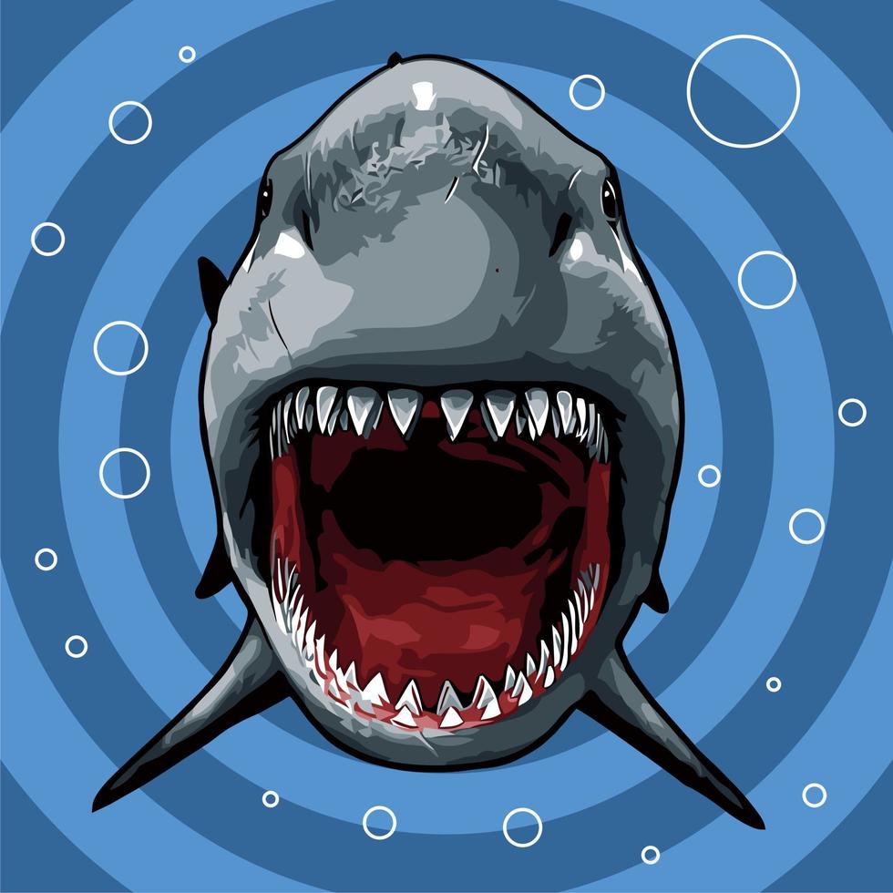 white shark vector template