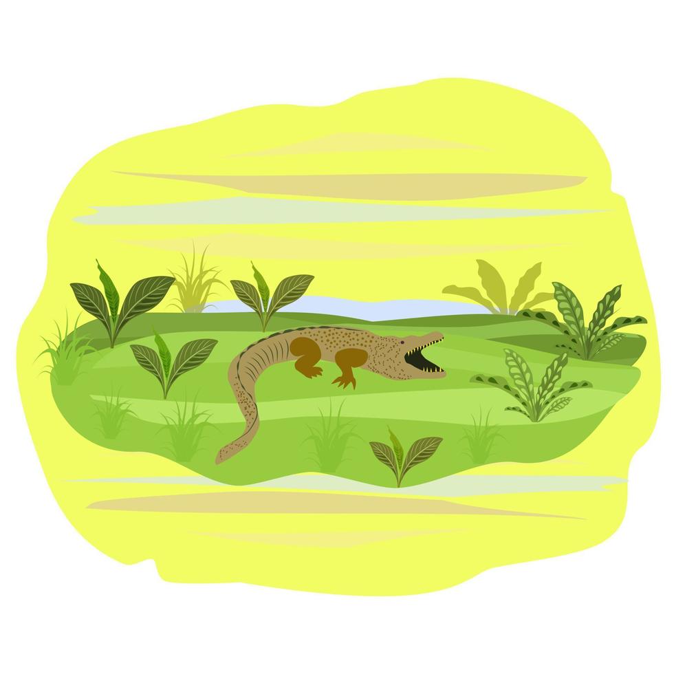 Australian landscape.Plants,animal and trees. vector