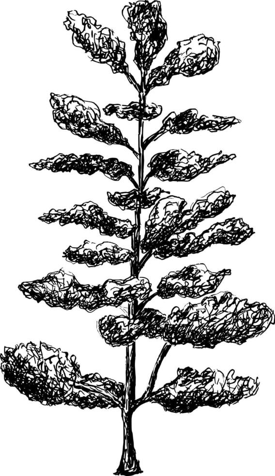 boceto de dibujo de un árbol. vector