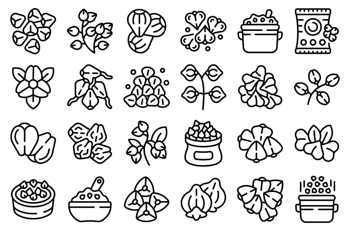 Buckwheat icons set outline vector. Agriculture cereal vector