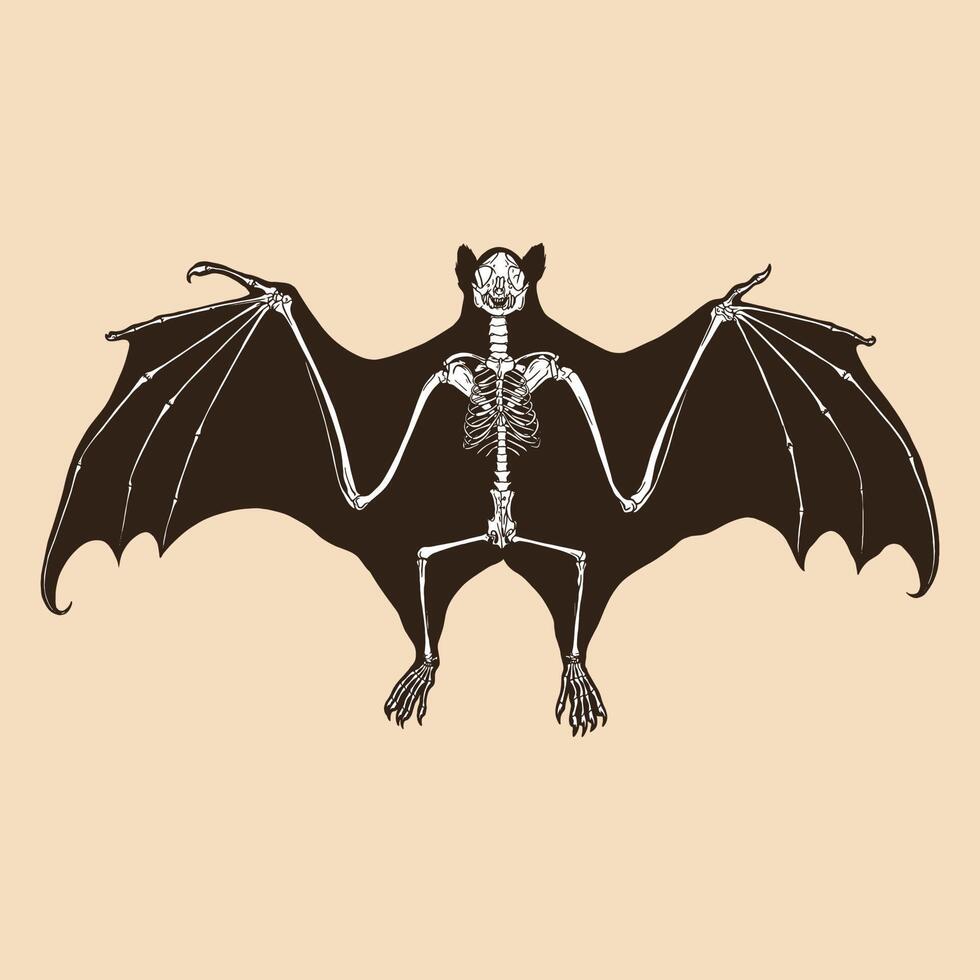 Skeleton fruit bat vector illustration