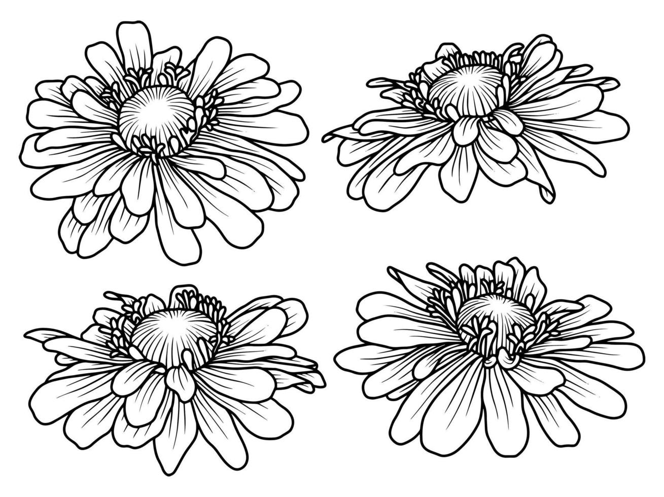 Flower Hand drawn sketch line art illustration vector