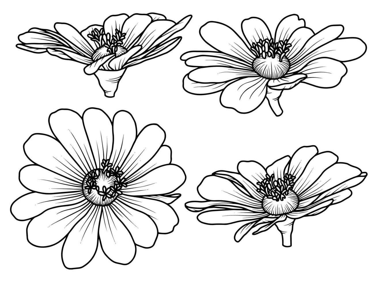 Flower Hand drawn sketch line art illustration vector