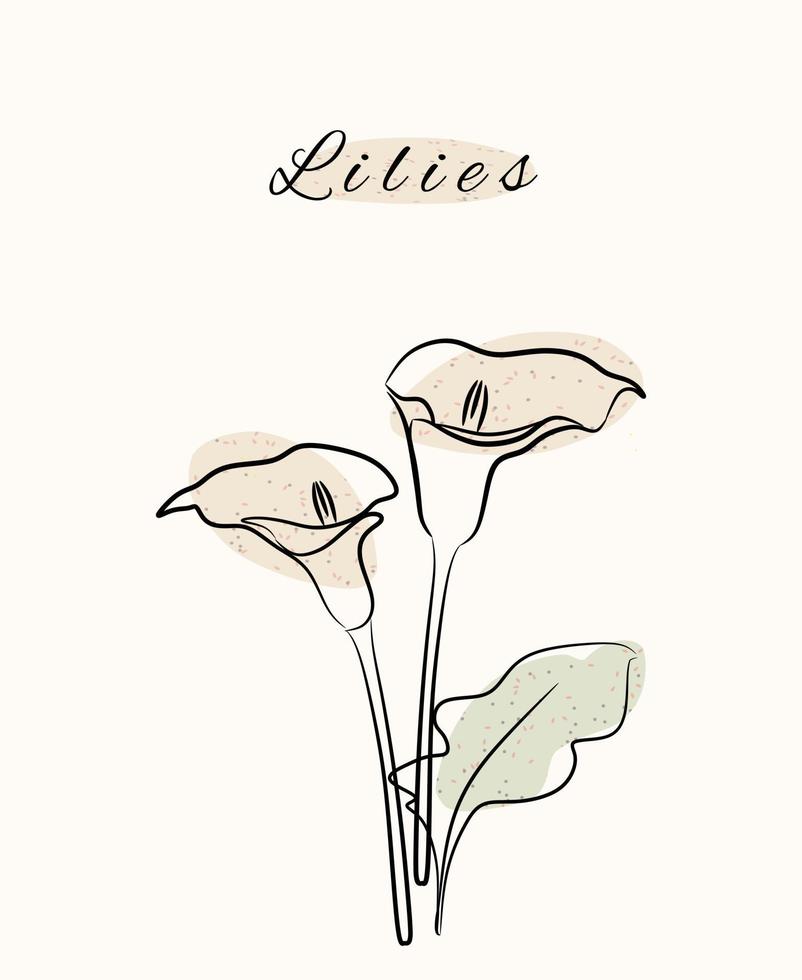 Lilies floral botanic nature line art hand drawn with abstract grunge organic shapes. vector