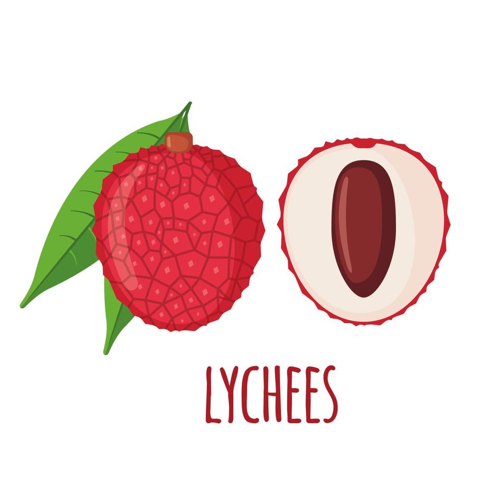 Lychee fruit icon in flat style isolated on white background. Whole and half lychee with leaves. Vector illustration.