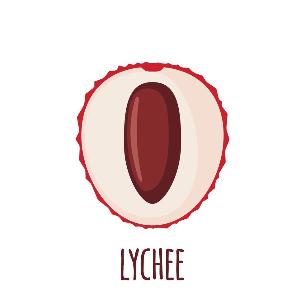 Half of Lychee fruit icon in flat style isolated on white background. Vector illustration.