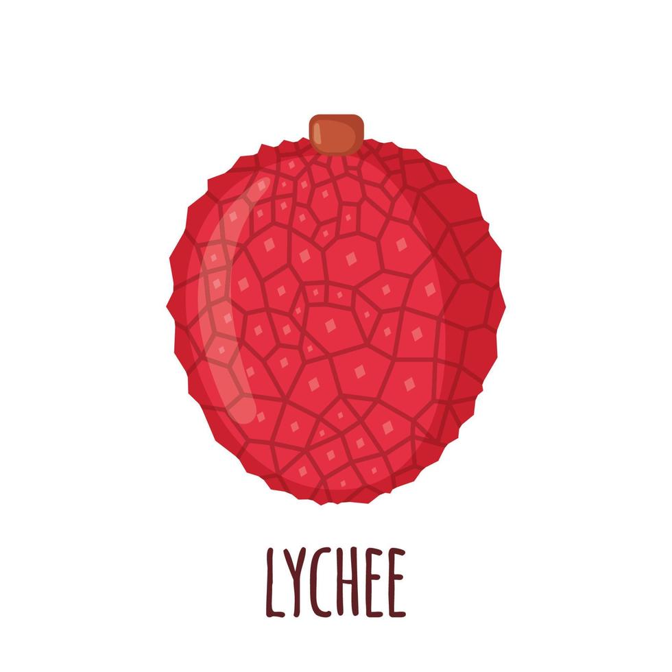 Lychee fruit icon in flat style isolated on white background. Vector illustration.