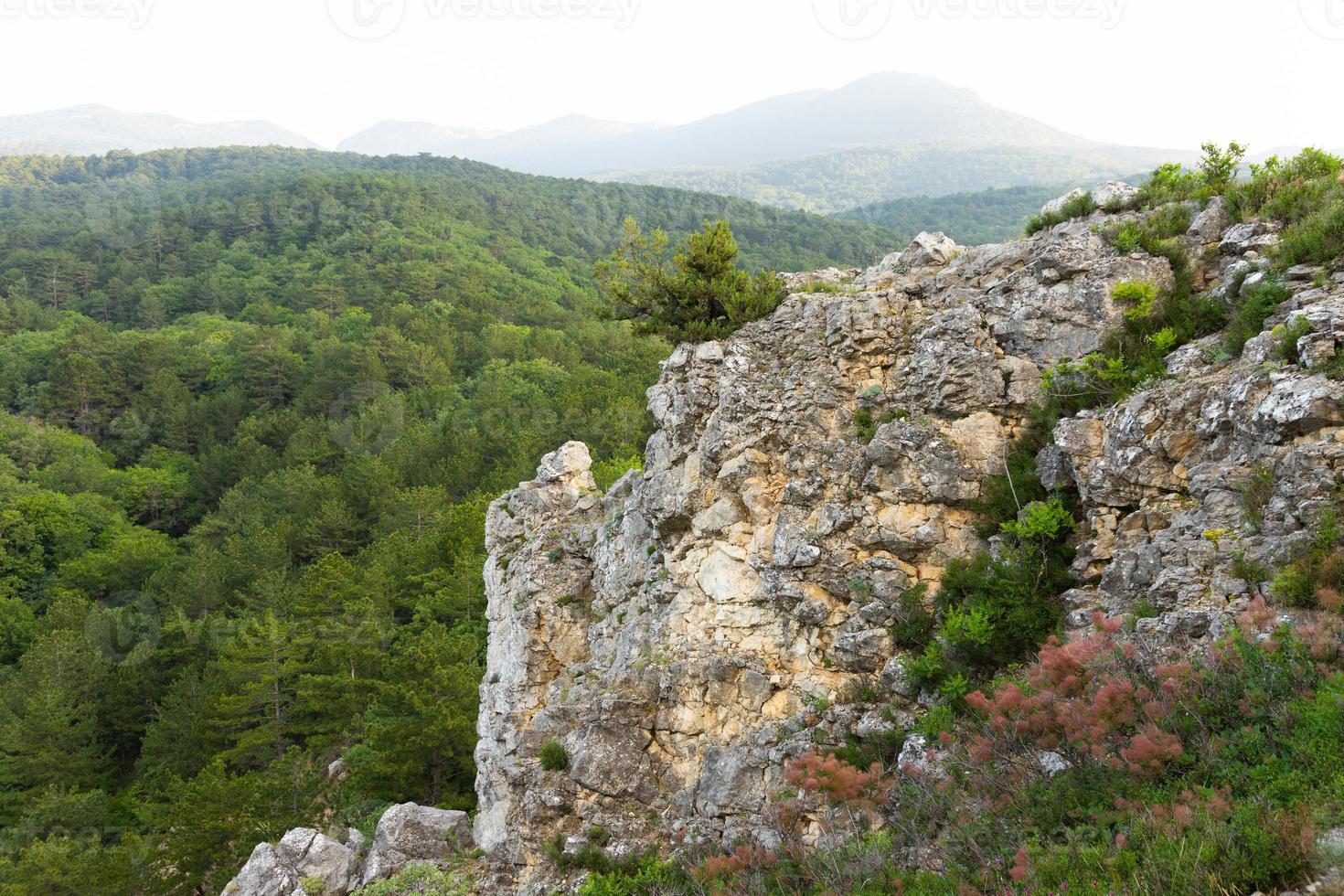 Gray wild rocks and wild green forest. View from above. Landscape. photo