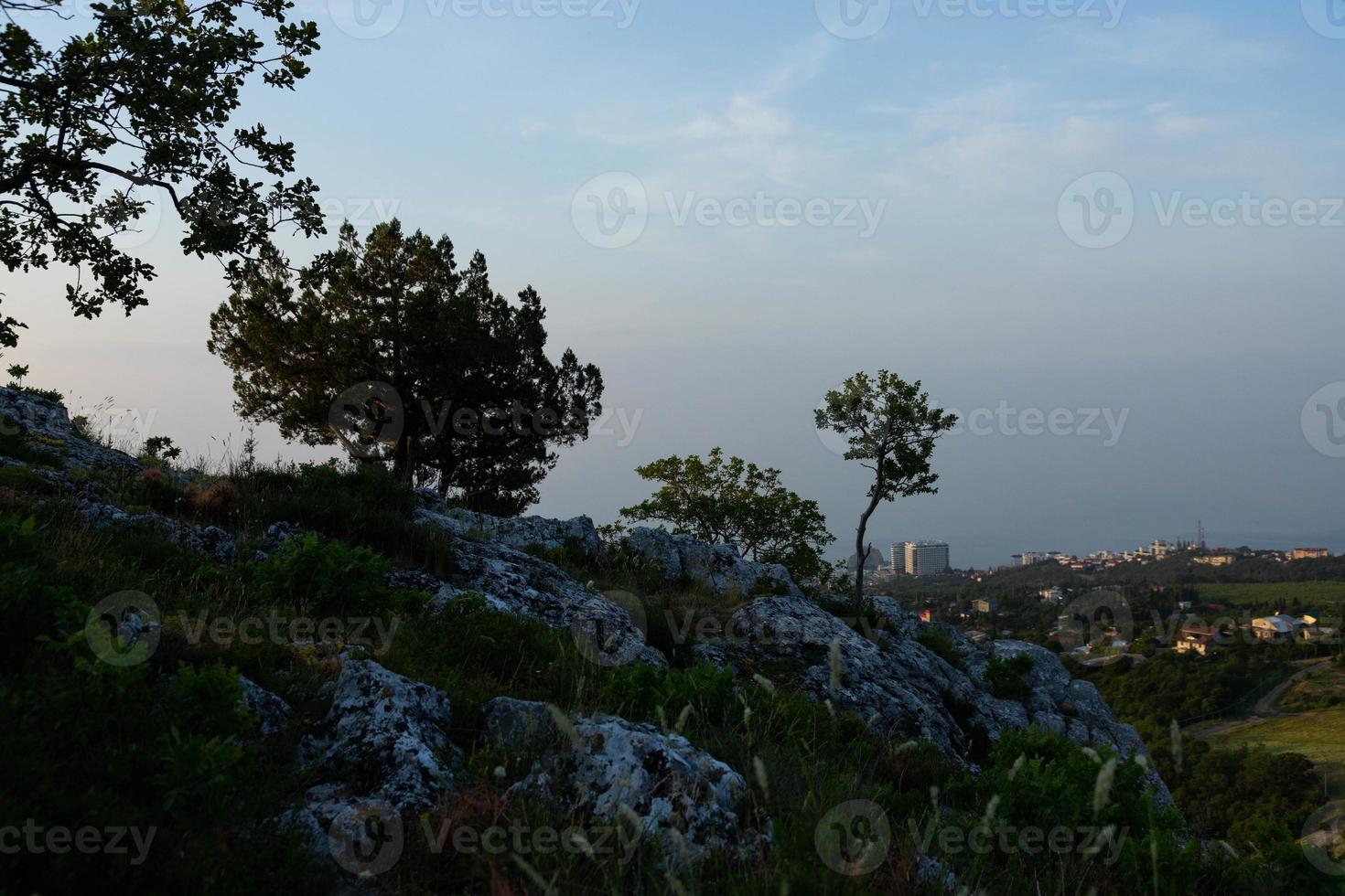 un árbol solitario que crece en una roca en las montañas salvajes... foto