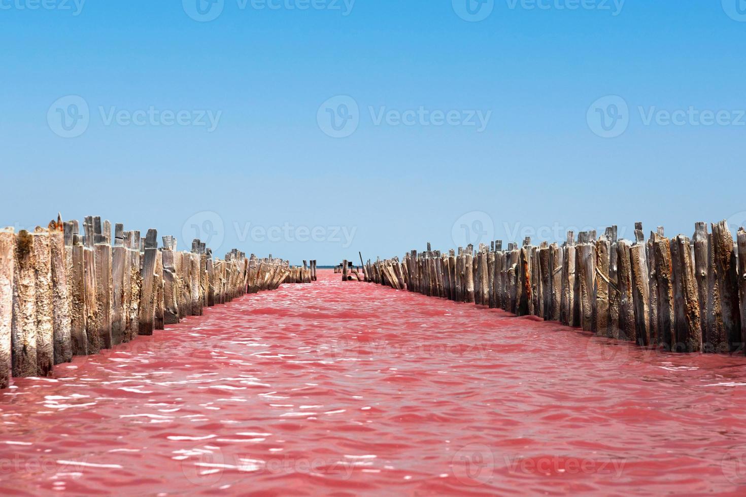 Exotic pink salt lake and blue sky with clouds. photo