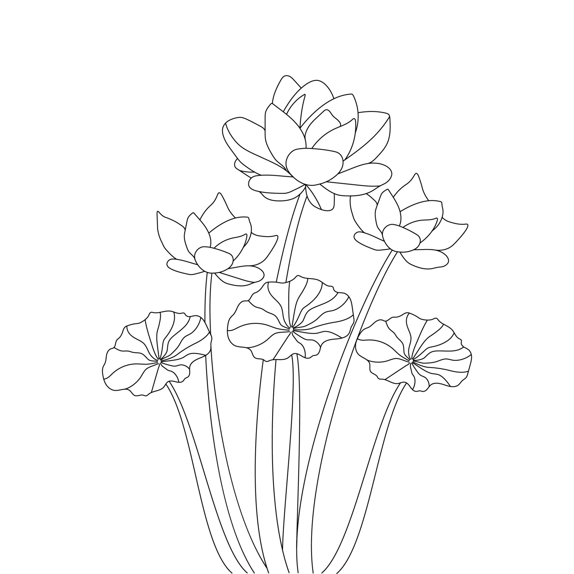 30 Water Lily Flower Drawing Coloring Pages