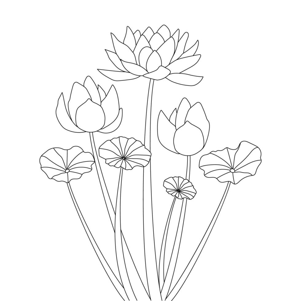 star lotus flower coloring page black white illustration with ...