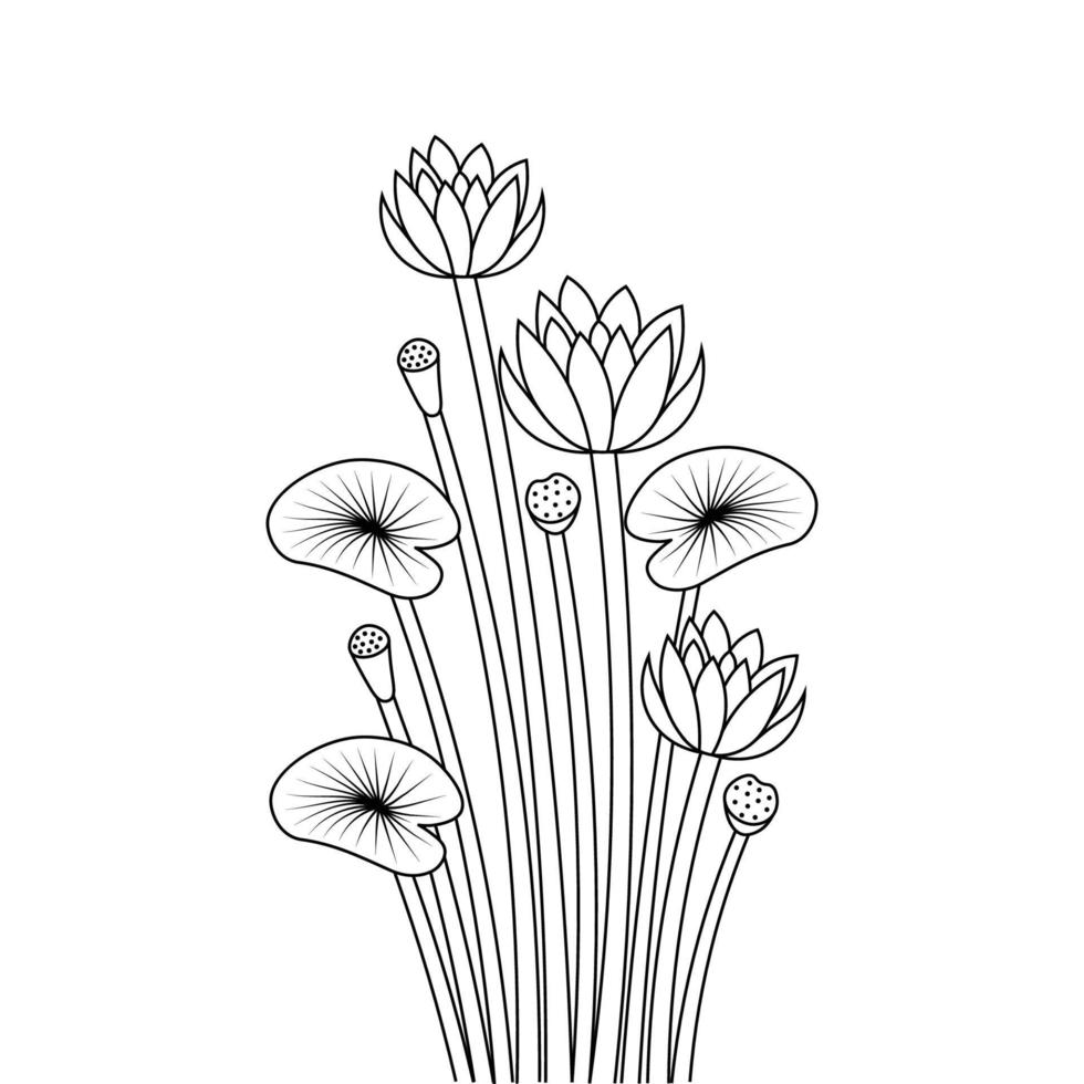 water lily line art coloring page for kid book on white background vector