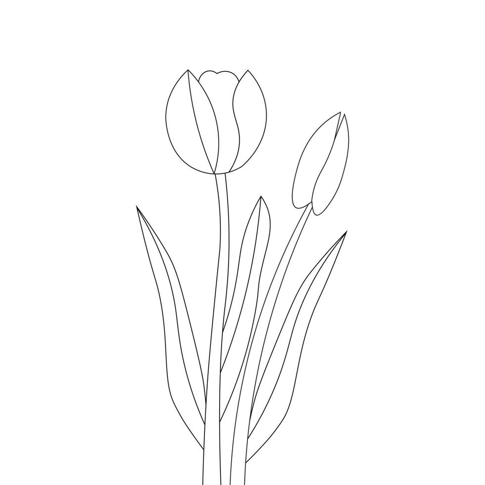 simple black and white coloring page flower illustration outline background vector