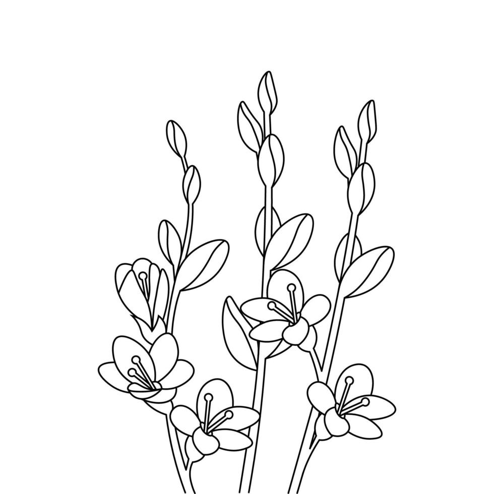 bud of petal vector illustration graphic outline artwork flower sketch